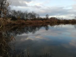 Vogelwaldsee (St. Leon-Rot)-3