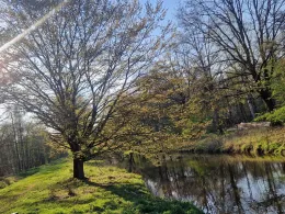 Allerkanal (Weyhausen)-4