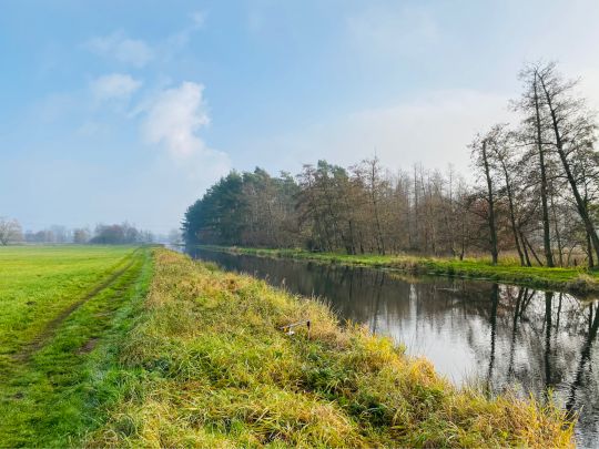 Allerkanal (Weyhausen)-2
