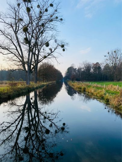 Allerkanal (Weyhausen)-1