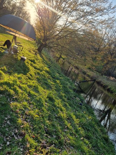 Allerkanal (Weyhausen)-3