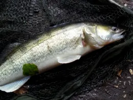 Simon´s Angelparadies Brandheide-2