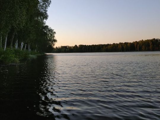 Gissen
