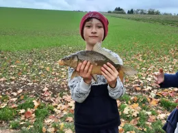 Tauber (Tauberbischofsheim)