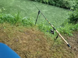 Tauber (Tauberbischofsheim)-4