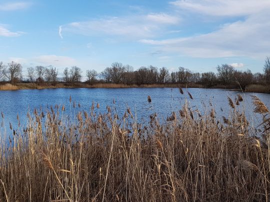 Kiesloch Heinrichsberg-2