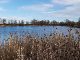 Kiesloch Heinrichsberg-2