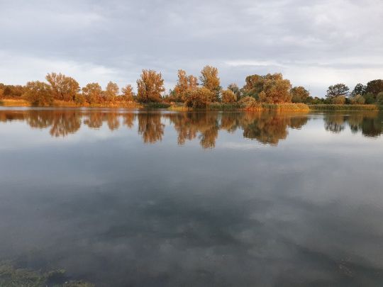 Kiesloch Heinrichsberg-4