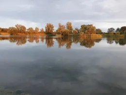 Kiesloch Heinrichsberg-4