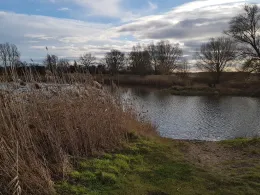 Kiesloch Heinrichsberg-1