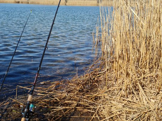 Habermannsee (Berlin-Kaulsdorf)-2