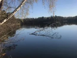 Großer Trepliner See