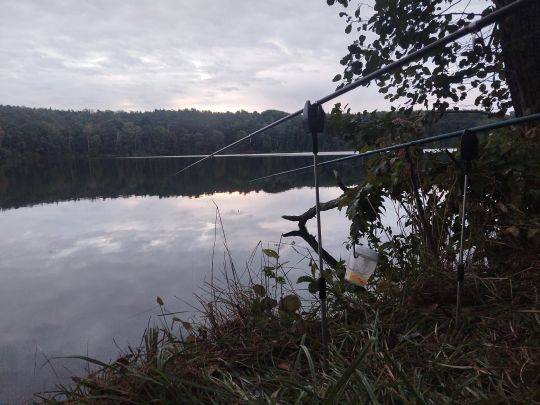 Großer Trepliner See-4