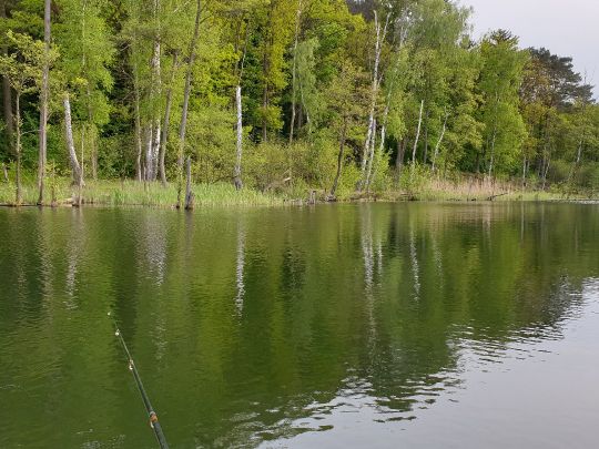 Großer Trepliner See-2