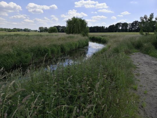 Vechte (Wettringen)-3