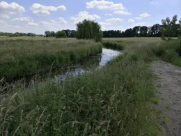 Vechte (Wettringen)-3