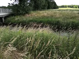 Vechte (Wettringen)-2