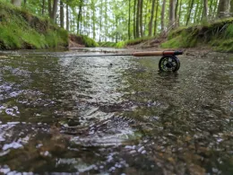 Violenbach (Melle)-1