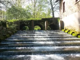 Violenbach (Melle)-3