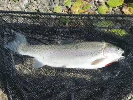 Unterwasserbecken Sösetalsperre 