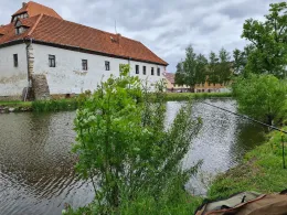 Hofeteich (Farnstädt)-1