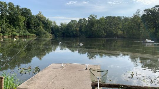 Ziegeleiweiher (Singen)-4