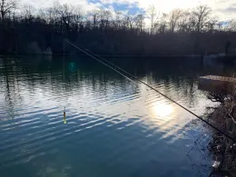 Ziegeleiweiher (Singen)-2