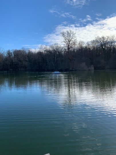 Ziegeleiweiher (Singen)-1