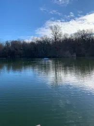 Ziegeleiweiher (Singen)-1