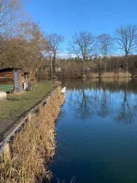 Ziegeleiweiher (Singen)-3