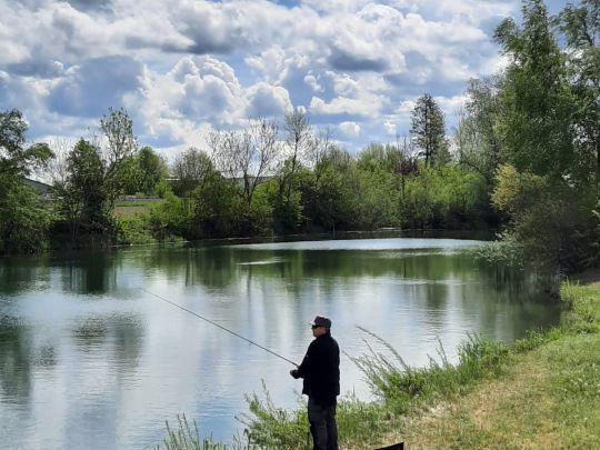 Sportplatzweiher (Nordendorf)