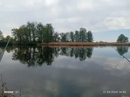 Moschkolk (Wartenburg)-3