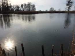 Moschkolk (Wartenburg)-1