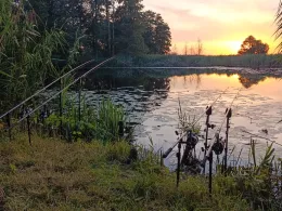 Moschkolk (Wartenburg)