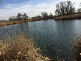 Moschkolk (Wartenburg)-2