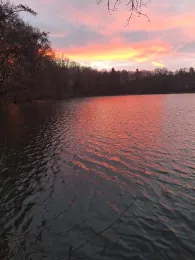 Höhlteich (Oelsnitz)-2