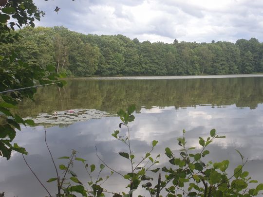 Höhlteich (Oelsnitz) angeln