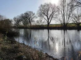 Ilmenau (Fahrenholz)-2