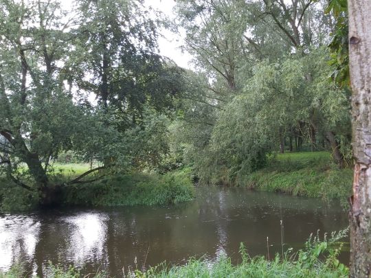Oker (Ohrum-Kissenbrück)-3