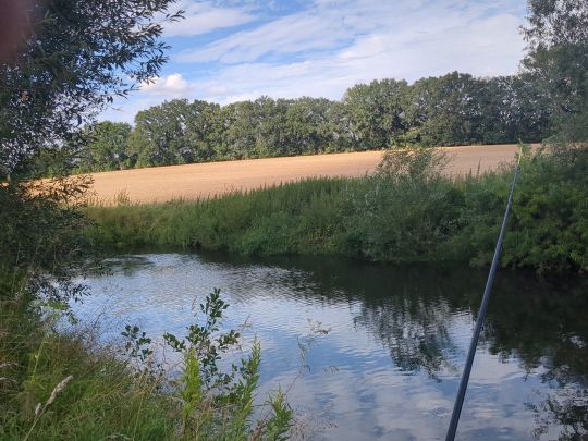 Oker (Ohrum-Kissenbrück)-2