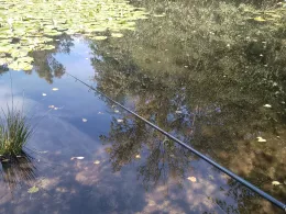 Heidbergteich (Hamburg)-3