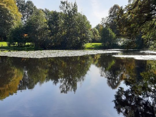 Heidbergteich (Hamburg)-2