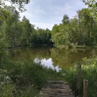 Baggerteiche Fasanenpark