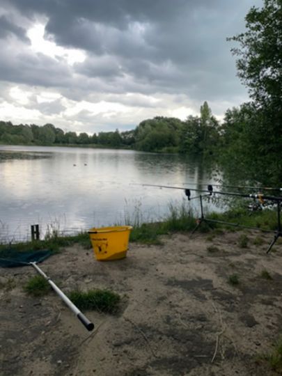 Kolshorner Teich ALLE ANGELN