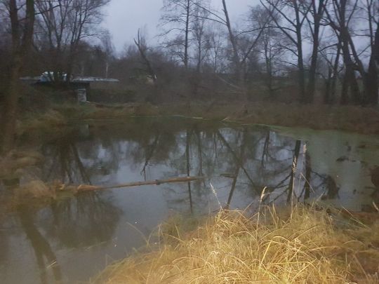 Platkower Mühlenfließ-2