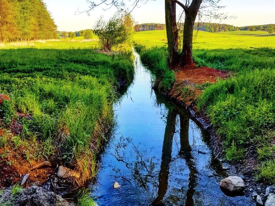 Platkower Mühlenfließ-0