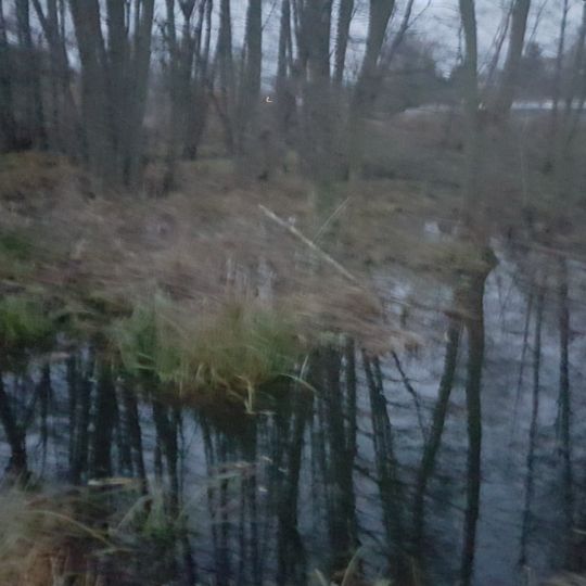 Platkower Mühlenfließ