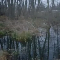 Platkower Mühlenfließ