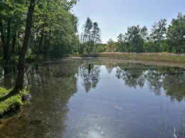 Kleine Adria (Dessau)-1