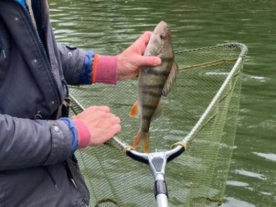 Neupfotzer Kopf / Schmugglermeer-4